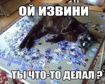 Очами кота зовсім