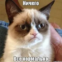 Очами кота кота