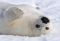 новини