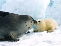 новини