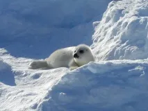 новини