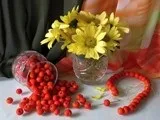Змови на сварку та ворожнечу сварку