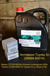Заміна двох термостатів та антифризу на Nissan X-Trail заміна