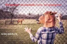 Інтроверти та екстраверти відмінності зміцнюють шлюб екстраверти