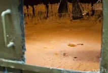 З чого та як варять мило на Гомельському жировому комбінаті мило