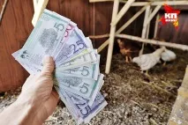Як фермер Шляпников мало не обрушив фінансову міць України шляпников