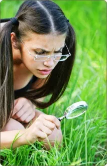 біла