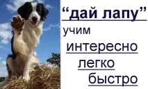 научим