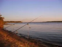 Як ловити рибу з дна донного