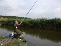 карася