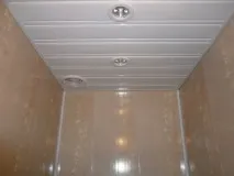 Яку можна зробити стелю в туалеті стелю