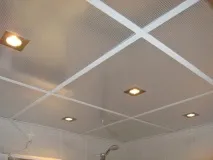 Яку можна зробити стелю в туалеті можна