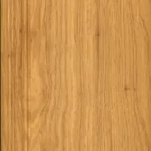 виборі