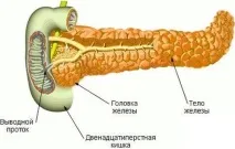 підшлункової