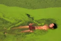 різних