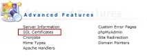 Як встановити SSL-сертифікат на панелі DirectAdmin directadmin