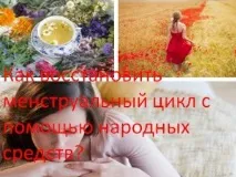 Як відновити менструальний цикл за допомогою народних засобів відновити