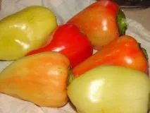часниковою