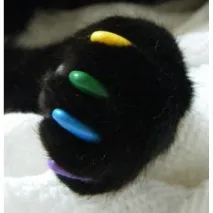 Захисні ковпачки на пазурі Pet Fashion Nail Caps for cat&dog - «Недорогий варіант антидрапок, ковпачки