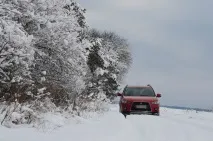 Як узимку робити не треба! узимку