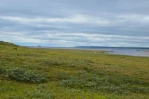 провів