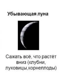 Картоплю краще садити при спадному або прибуває місяця картоплю
