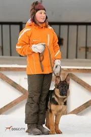 Клуб Dogcity клуб