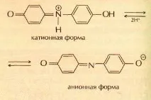 КИСЛОТНО-ОСНОВНІ ІНДИКАТОРИ - Мурзім індикатори