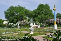 Царицин