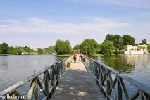 Царицин