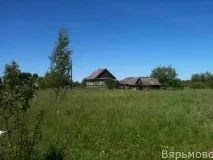 Комарі та кози комарі