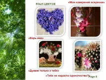 Класна година - Спілкування в житті людини Templates