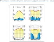 континентите