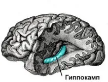 Комп’ютерні ігри з розумом за та проти розумом