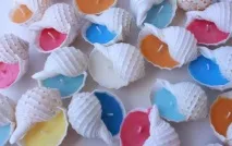 Краса з черепашок своїми руками краса