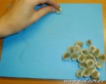Кіт та кролик можна