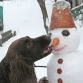 лялька