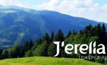 Великі мережеві МЛМ компанії у сфері клінінгу, засобів для чищення - 20 лідерів ринку - 2019 р компанії