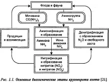 Кругообіг азоту рослин