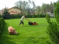 Ландшафтний дизайн, обрізка та лікування дерев, земляні роботи, догляд за садом, озеленення в Уфі на дерев