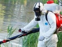Ландшафтний дизайн, обрізка та лікування дерев, земляні роботи, догляд за садом, озеленення в Уфі на обрізка