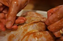 Курка японською курка