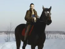 Кінська сила для суглобів який препарат краще суглобів
