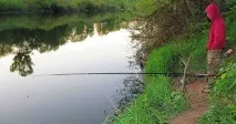 уклейки