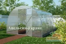 Кращі нові сорти та гібриди рожевих томатів для теплиць сорти