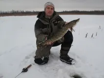 Lucky John Fin – уловистий балансир Salmo