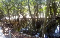 акваріумі