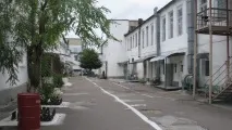 жінки