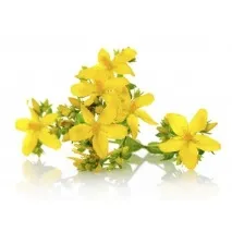 лікування