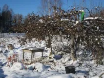 Мій настрій мені